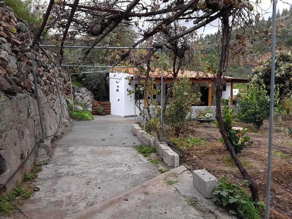 Casa Rural La Hoyita De Tunte San Bartolomé Exterior photo