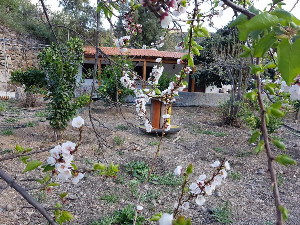 Casa Rural La Hoyita De Tunte San Bartolomé Exterior photo