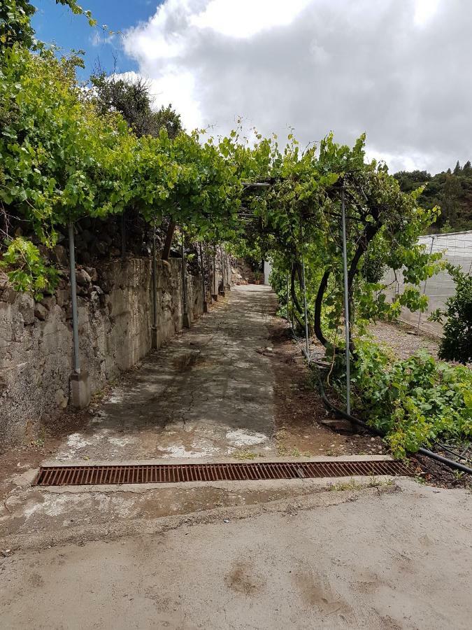Casa Rural La Hoyita De Tunte San Bartolomé Exterior photo